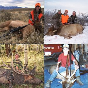 Utah hunts