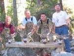 2005 deer.jpg