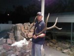 09 Elk.jpg