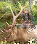 2007%20bull[2].jpg
