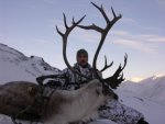 Caribou 3_320x240.JPG