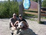 Dall Sheep2_320x240.JPG