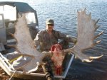 Moose3_320x240.JPG