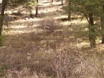 IMG00098-20110419-1257.jpg