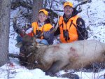 2010 Elk 008.jpg