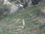 DSC02754.jpg