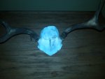 IMG00171-20110520-0817.jpg