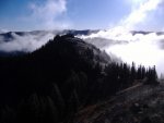 DSCF0717.jpg