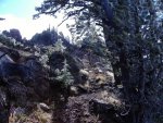 DSCF0720.jpg