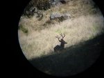 ImageUploadedByTapatalk1307738516.422509.jpg