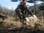 Art's Mule Deer (9).jpg