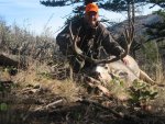 Art's Mule Deer (9).jpg