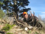 Art's Mule Deer (8).jpg