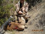 deer 5.jpg