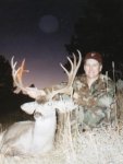 coloradomuledeer.jpg