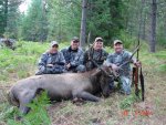 elk2.jpg