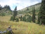 WYOMING 041.jpg