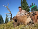 Colorado Elk 2010 056.jpg