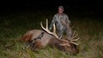 Fred's Tule Elk.jpg