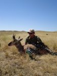 antelope-039-lg.jpg