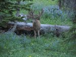 IMG_0151.jpg