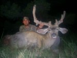 cactus_buck_019.jpg