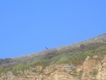 DSCN3970.jpg