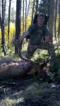 elk 04.jpg
