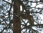 IMG_2729.jpg