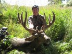 Deer-08-111.jpg
