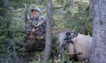 Ben Montana elk.jpg