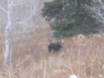DSCN4496.jpg