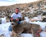 bigdeer1.jpg