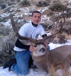 bigdeer5.jpg