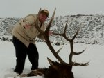 elk2.jpg