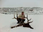 elk1.jpg