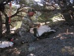 2011 Nevada Elk Hunt 064.jpg