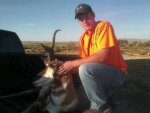 Pronghorn.jpg