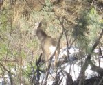 IMG_0588.jpg