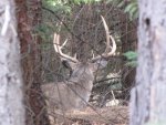 IMG_1299.jpg