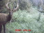 MDGC0064.jpg