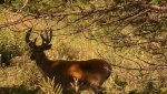 PIC_0109.jpg
