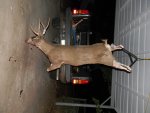 DSCN0707.jpg