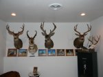 DSCN0809.jpg