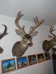 DSCN0807.jpg