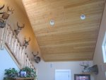 Buck heads 003.jpg