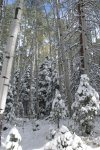 DSCN2240.jpg