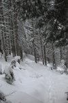 DSCN2245.jpg