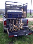 Fox hunt 2.jpg