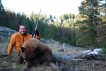 Copy of Spring Bear 09 087.jpg